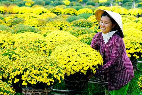 Canh bạc hoa tết