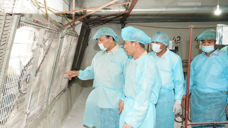 Thủ tướng kiểm tra công tác chống dịch tả heo châu Phi ở Đông Anh. Ảnh VGP
