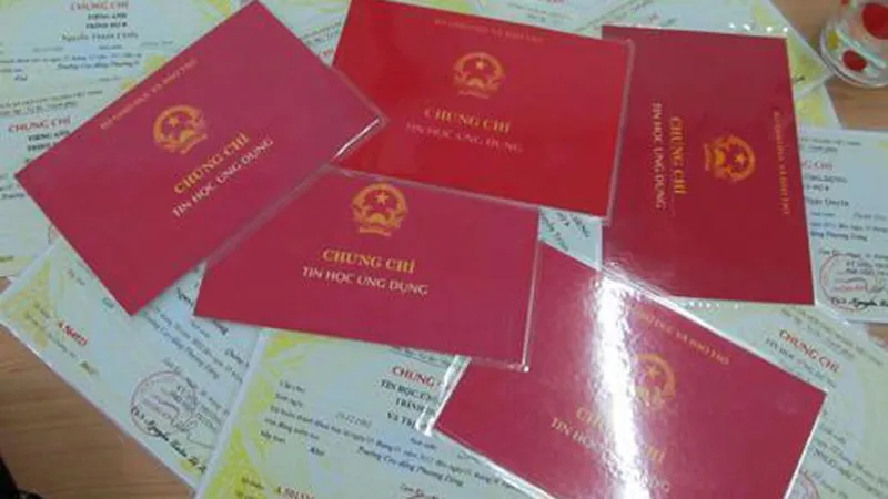 6 cán bộ dân số dùng chứng chỉ giả