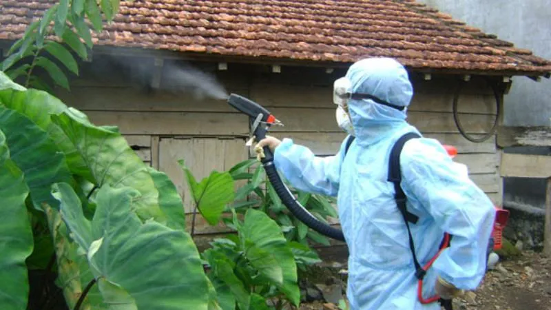 Đà Nẵng: Nguy cơ bùng phát dịch sốt xuất huyết