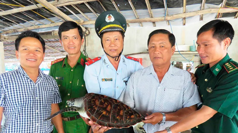 Thả rùa biển quý hiếm về biển