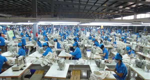 Chủ động nguồn cung ứng nguyên liệu trong nước