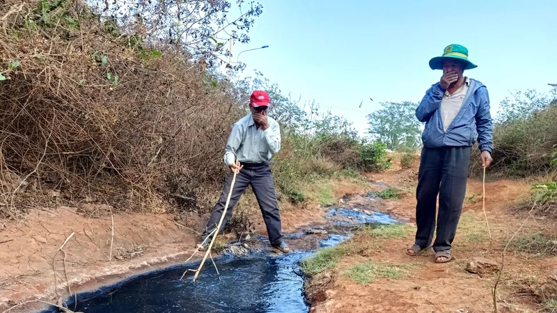Nước thải được xả ra từ đường cống thoát nước trong CCN Tân An 