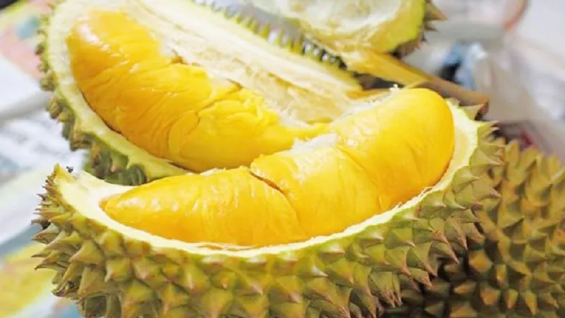 Sầu riêng Cái Mơn được cấp chỉ dẫn địa lý