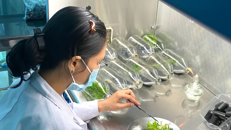 Tại Trung tâm Công nghệ sinh học TPHCM, việc nghiên cứu, phát triển sản phẩm luôn gắn liền mục tiêu thương mại hóa sản phẩm