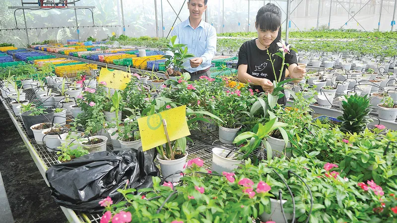 Khát vọng phát triển phồn vinh, hạnh phúc
