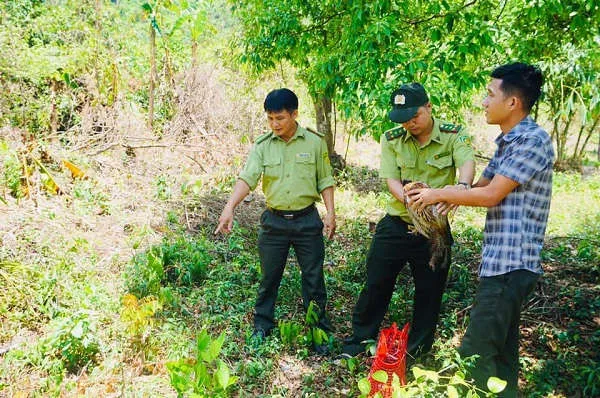 Thả 17 loài động vật hoang dã về rừng