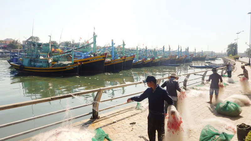 Các nghiệp đoàn nghề cá ở Bình Thuận đang hoạt động rời rạc, kém hiệu quả