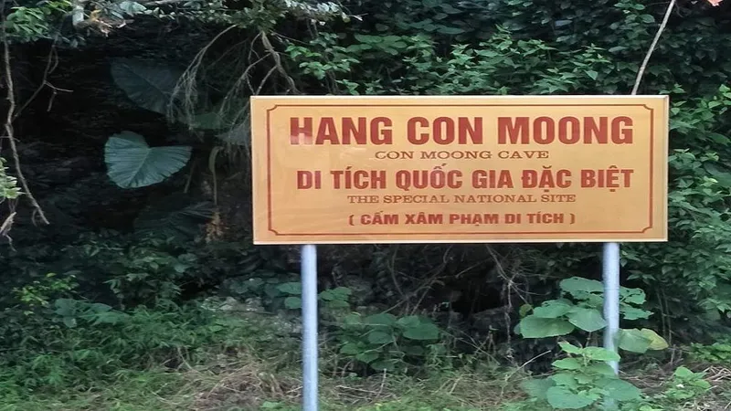 Khảo sát đề cử hang Con Moong là di sản văn hóa thế giới