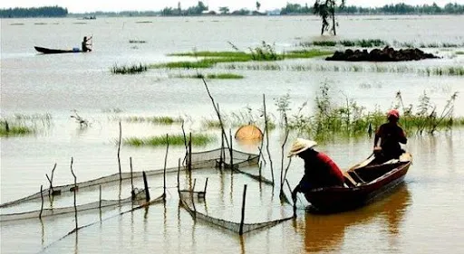 Lũ nhỏ về muộn nên người dân ĐBSCL khai thác thủy sản gặp khó khăn 