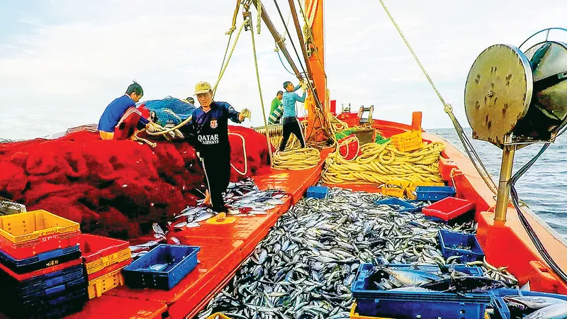 Nhiều sáng kiến trong đánh bắt trên biển giúp ngư dân Hoài Nhơn, tỉnh Bình Định khá giả hơn. Ảnh: ĐẶNG VĂN HẢI