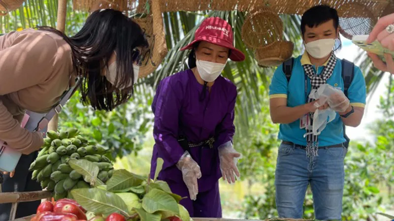 Du khách tham quan Bến Tre ngày 13-11. Ảnh: THI HỒNG