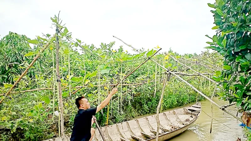 Fanpage “Tường của Má” chia sẻ ẩm thực miệt vườn chưa kiếm được tiền từ quảng cáo