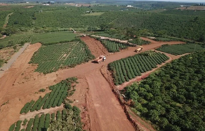 Lâm Đồng: Phải cam kết bảo vệ môi trường khi san gạt để sản xuất nông nghiệp
