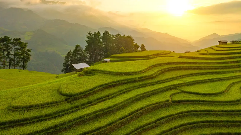 Mù Cang Chải