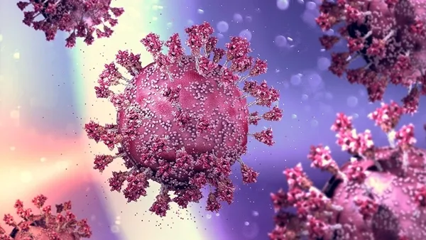 Vaccine có hiệu quả chống lại biến thể phụ của Omicron
