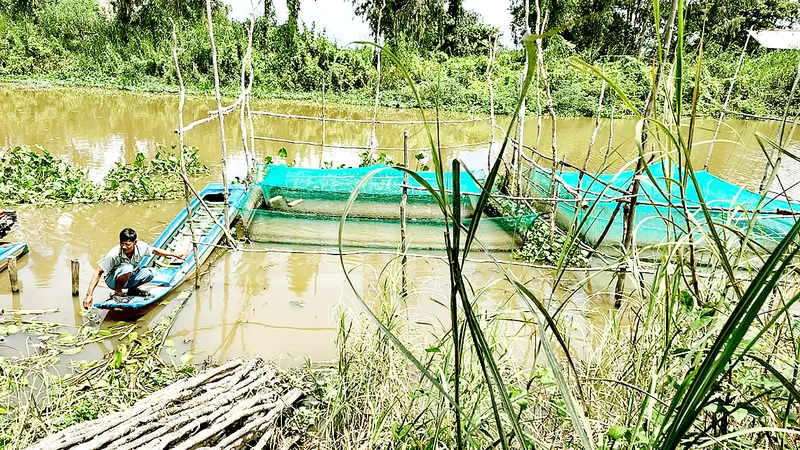 Nông dân huyện Tân Hưng (Long An) chờ lũ về để khai thác thủy sản mưu sinh. Ảnh: NGỌC PHÚC