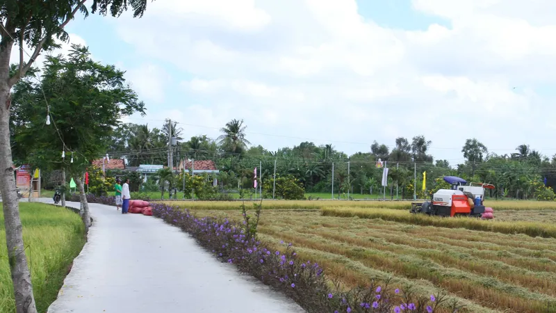 Đường quê đã được thảm bê tông ở xã Tân Ân, huyện Cần Đước, Long An