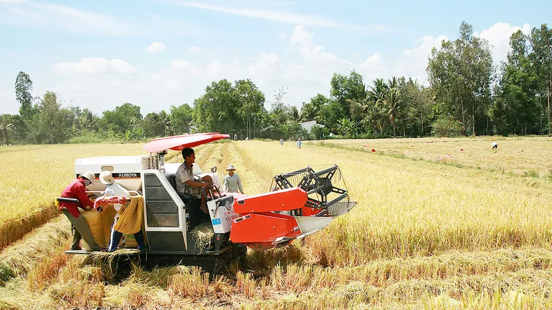 Phát huy nguồn lực đấi đai để khai thác giá trị sử dụng đất. Trong ảnh: Nông dân ĐBSCL thu hoạch lúa. Ảnh: HÀM LUÔNG