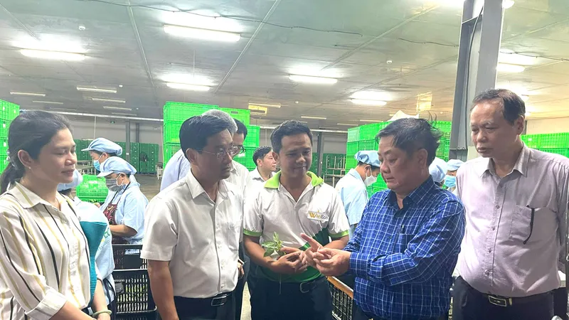 Đoàn công tác Bộ NN-PTNT kiểm tra một cơ sở cung cấp rau xanh