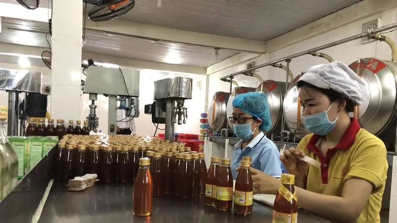 Sản phẩm OCOP TPHCM được người tiêu dùng biết đến nhiều hơn qua “chợ mạng”