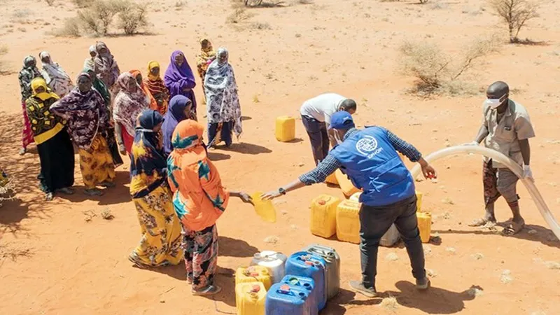 WFP cần 1,27 tỷ USD để chống hạn ở vùng Sừng châu Phi
