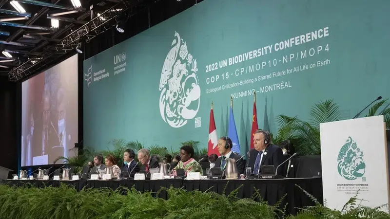 Đại diện các quốc gia tại Hội nghị Đa dạng sinh học Liên Hợp Quốc (COP 15) đã đạt được một thỏa thuận lịch sử về bảo vệ đa dạng sinh học trên trái đất. Ảnh: AP. 