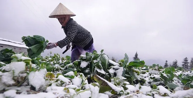 Rét chồng rét, có nơi rét đậm, rét hại