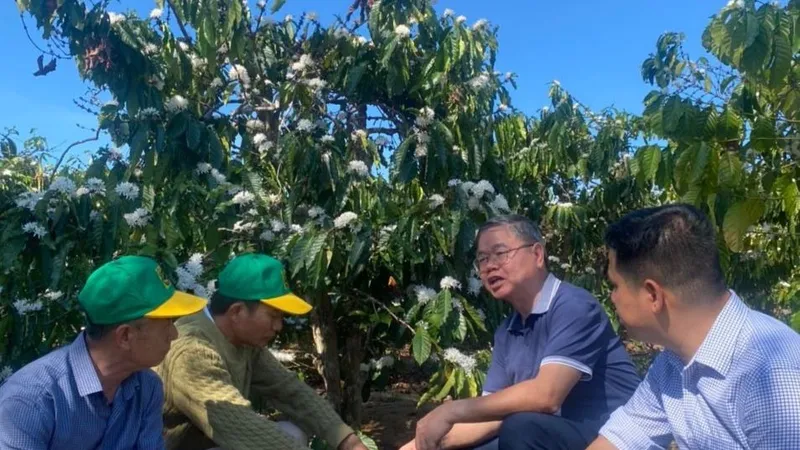 Công ty CP Phân bón Bình Điền khởi động chương trình Canh tác cà phê thông minh tại Tây Nguyên