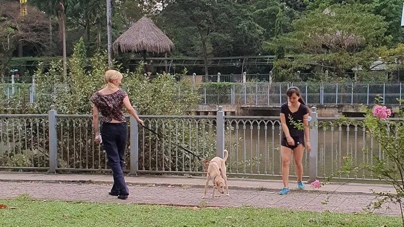 Chó không rọ mõm ở Công viên bờ kè kênh Nhiêu Lộc - Thị Nghè