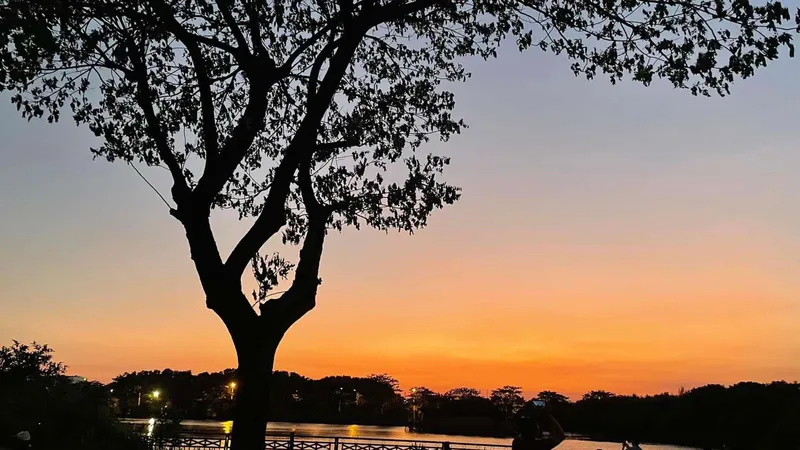 Thèm tiếng ru chiều