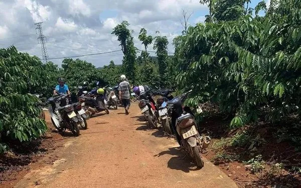 Quảng Ngãi: Mâu thuẫn vợ chồng, nghi cha treo cổ con
