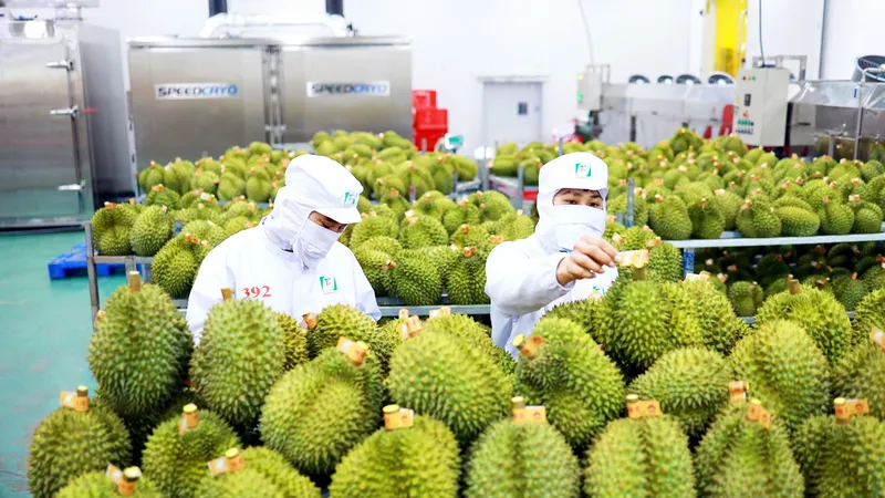 Xuất khẩu trái cây, gạo bứt phá