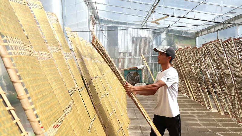 Quà quê xuất ngoại