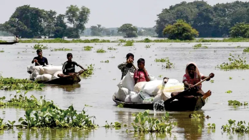Nông dân tại bang Assam, Ấn Độ di dời lúa để tránh lũ