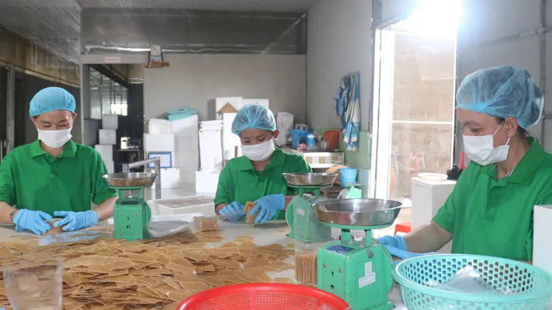 Sản phẩn bánh phồng tôm của Công ty CP XNK Vĩnh Hòa Phát đang tham gia nâng hạng từ 3 sao lên 4 sao