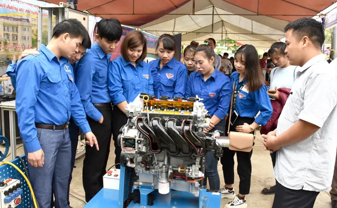 Đề nghị Quỹ Dân số Liên hợp quốc hỗ trợ tài chính và kỹ thuật cho thanh niên