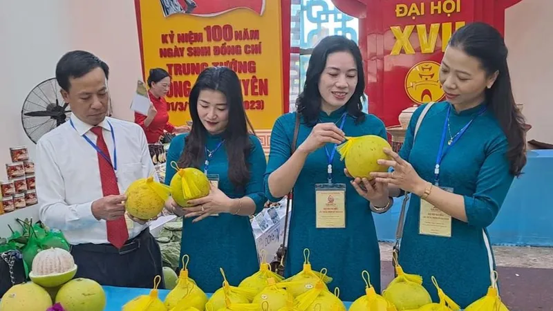 Quảng Bình: Khai trương gian hàng với 300 sản phẩm nông sản OCOP