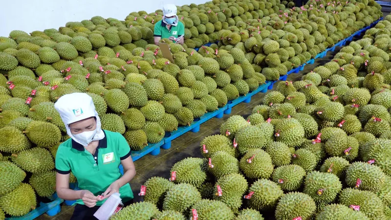 Xây dựng thương hiệu xuất khẩu