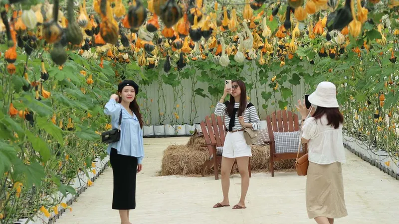 Khởi sắc du lịch canh nông - Bài 2: Hướng tới nền nông nghiệp - du lịch xanh