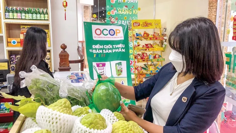 Hợp tác đưa nông sản Sóc Trăng lên kệ siêu thị