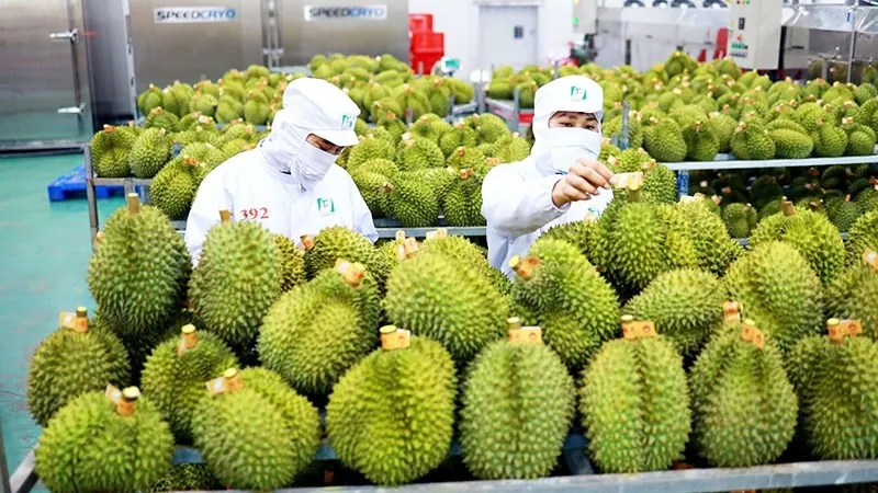 Trợ lực cho xuất khẩu