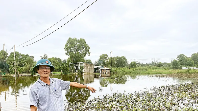 Quảng Bình: Nhiều diện tích rau, hoa bị ngập úng