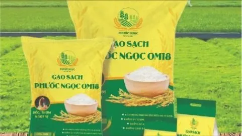 Công ty Cổ phần đầu tư xuất nhập khẩu Phước Ngọc: Vì những bữa cơm an toàn cho gia đình Việt 