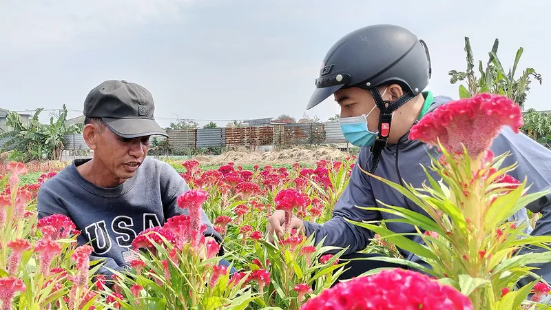 Người dân làng hoa Tân Ba giới thiệu các loại hoa cho khách hàng. Ảnh: HOÀNG BẮC