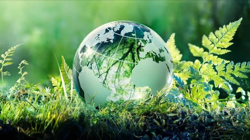 “Diễn đàn xanh” đón mùa xuân tới