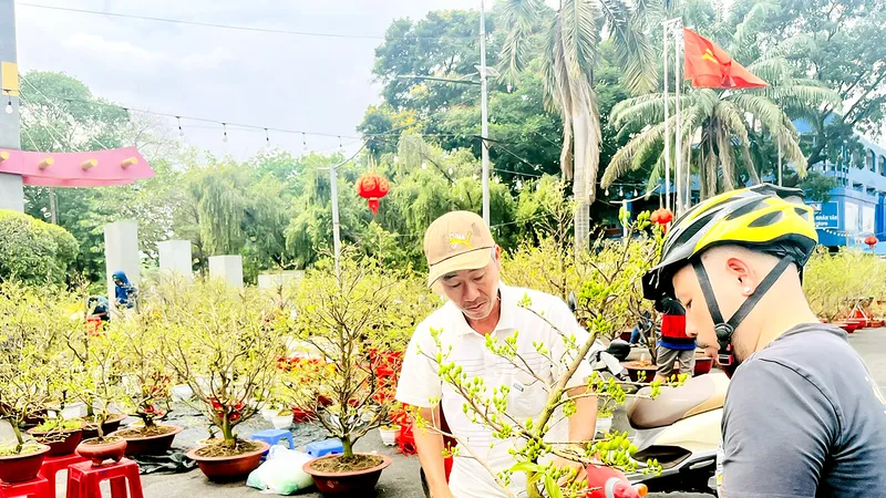 Khách chọn mua mai trưa 5-2 tại TPHCM. Ảnh: THI HỒNG