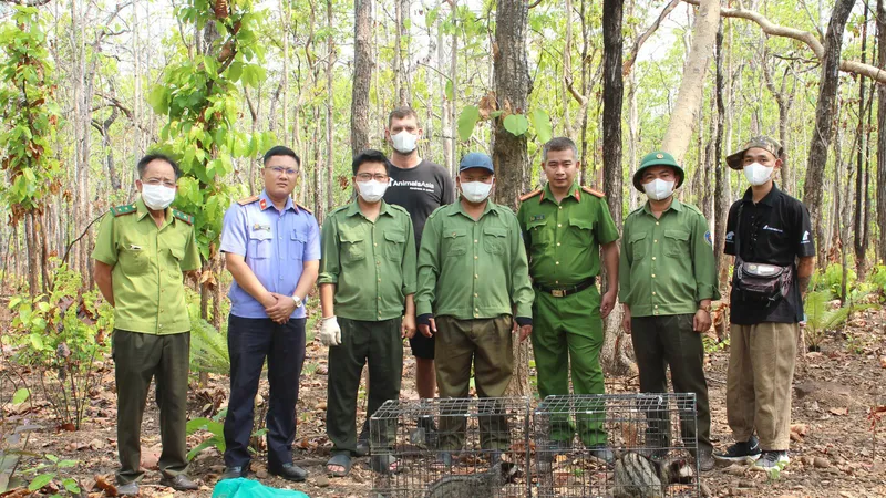 Thả động vật hoang dã về môi trường tự nhiên