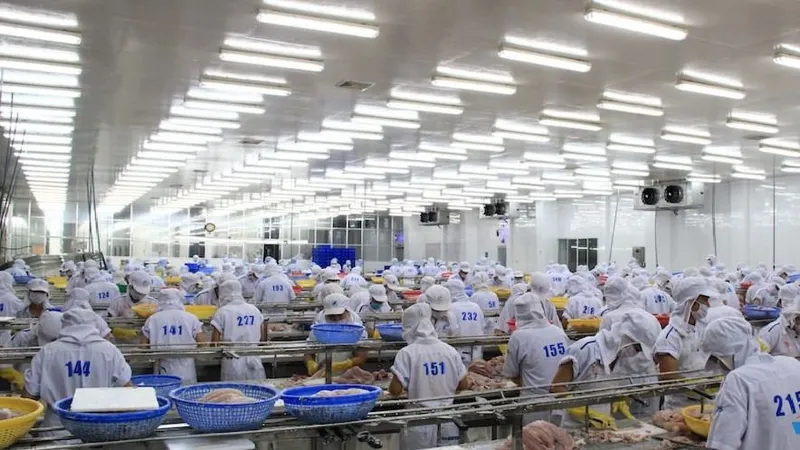 Khảo sát tìm kho lạnh cho ngành chế biến thực phẩm