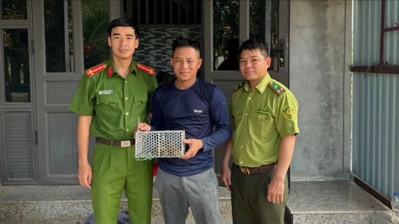 Hàng trăm cá thể động vật được thả về tự nhiên